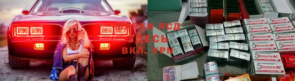 индика Волосово