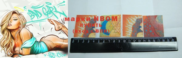 индика Волосово