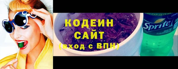 индика Волосово