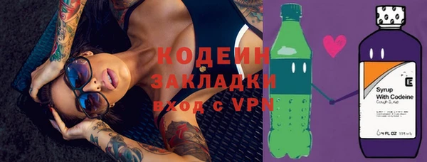 индика Волосово