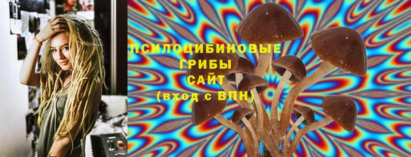 индика Волосово