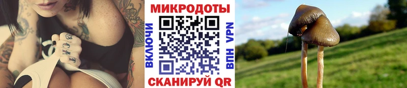 Галлюциногенные грибы Cubensis  Чита 